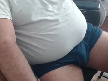 gato27cam