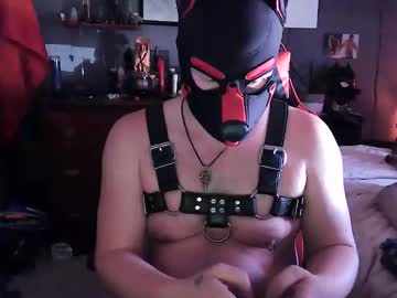 pupdrz32