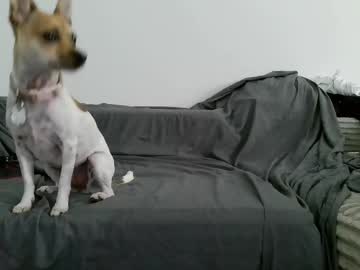 sircheese69x2