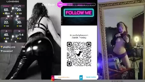 Photo of bandit_monkey