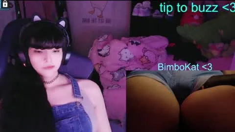Live thumbnail for bimbocat