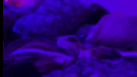 Live thumbnail for bukkakebae