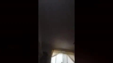 Photo of daddydizznick10