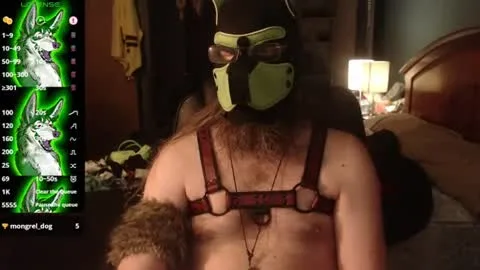 Live thumbnail for kinkywolf87