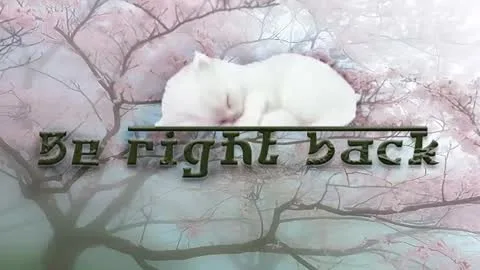 Live thumbnail for sleepyheadcats