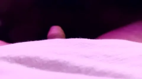 stallion_bear live act