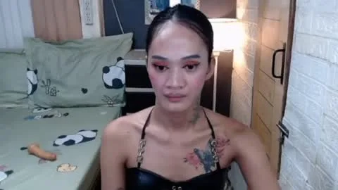 Live thumbnail for yourtsliannex